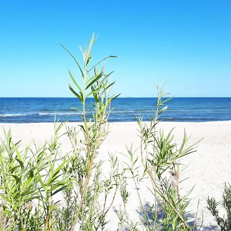 Kierunek Gracja Monte Cassino 36 * ソポト