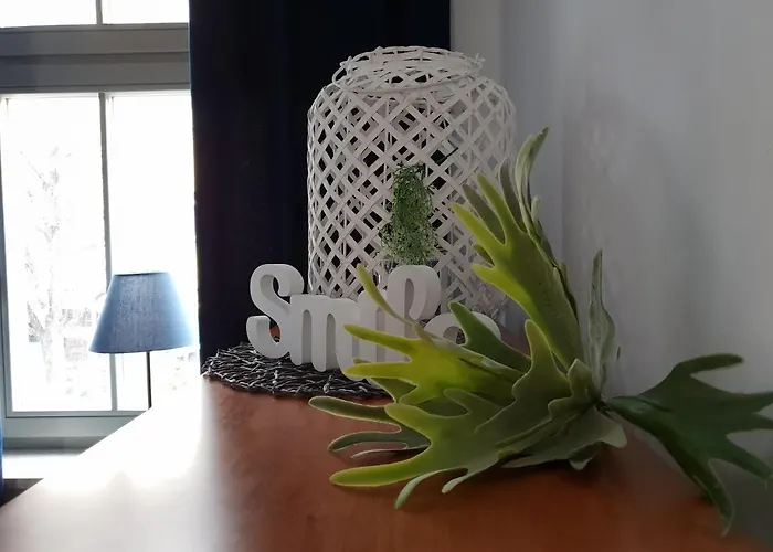 Apartamento Kierunek Gracja Monte Cassino 36 *