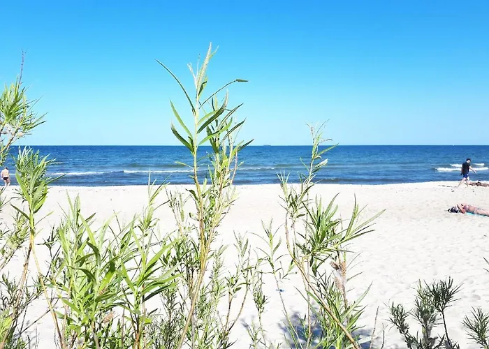 Kierunek Gracja Monte Cassino 36 * Sopot